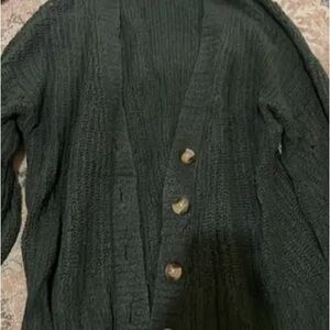 American Eagle Outfitters Forest Cardigan Sweater